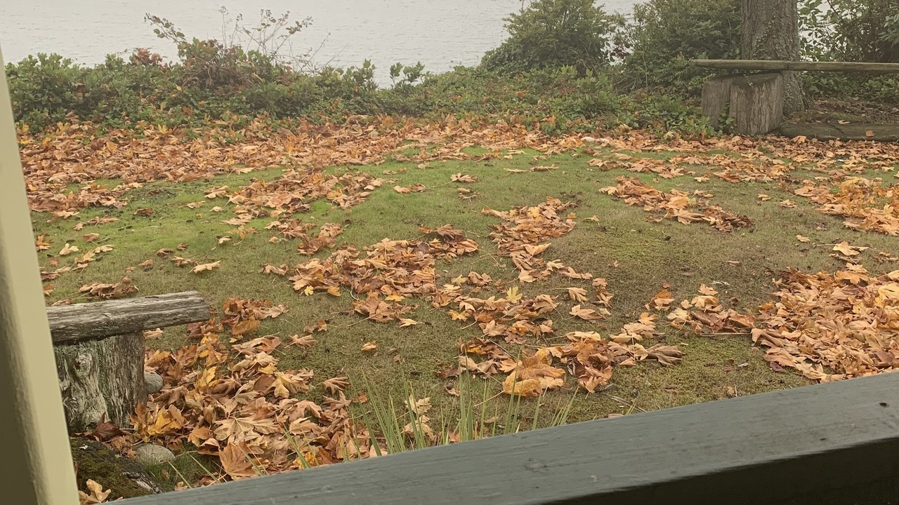 Photo of Outdoor in Everett