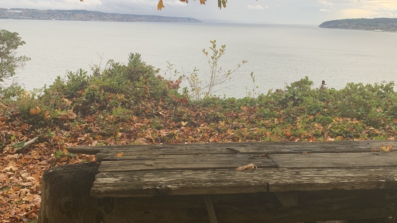 Photo of Others in Everett