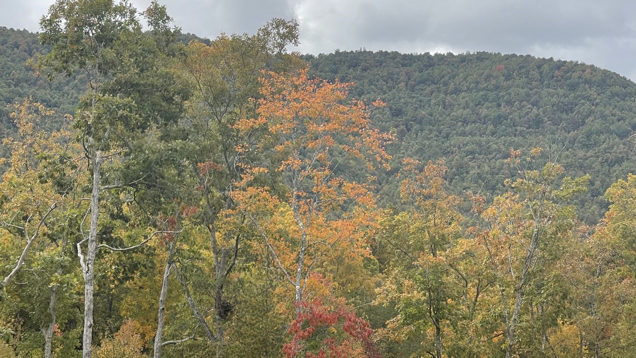 Photo of Outdoor in Winona