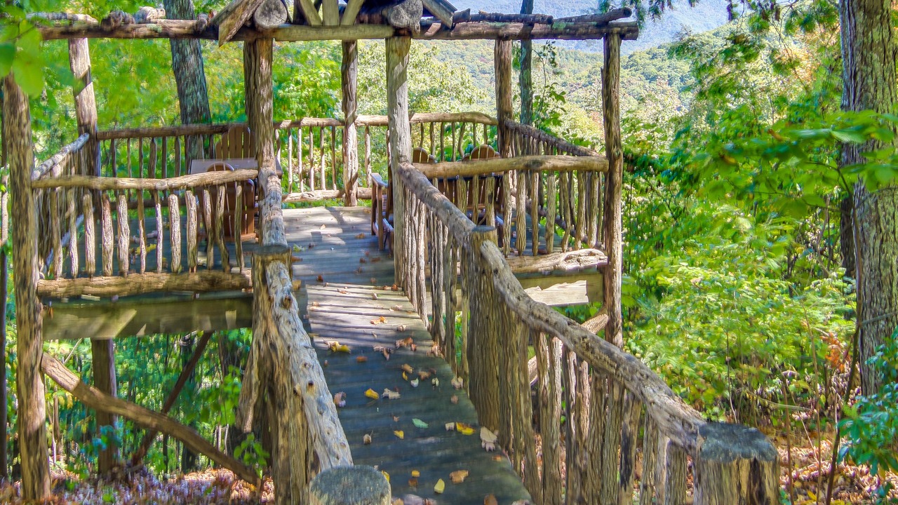 Photo of Outdoor in Mountain Air