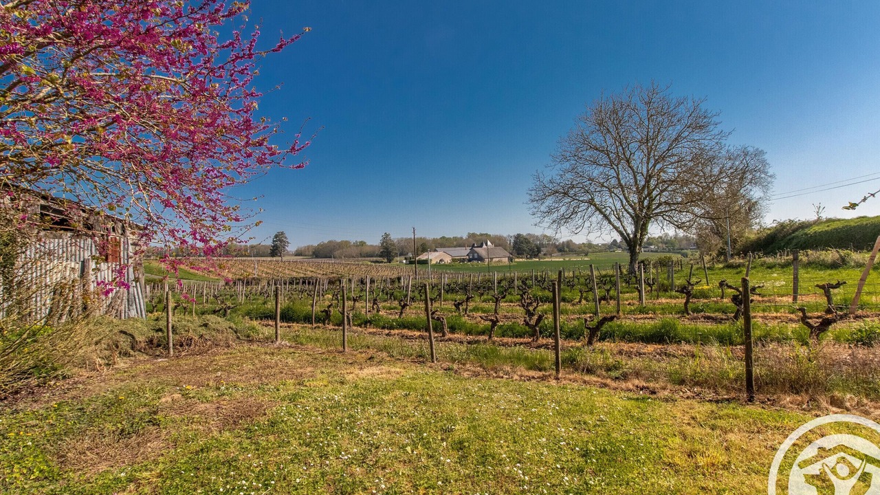 Photo of Outdoor in Coutures