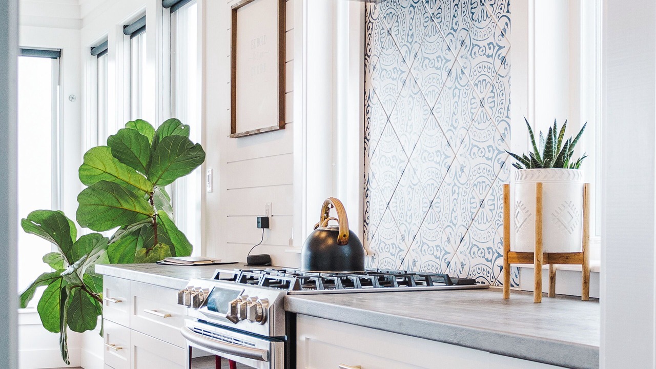 Photo of Others in Holyrood