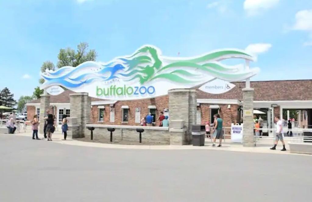 Photo of Others in North Buffalo