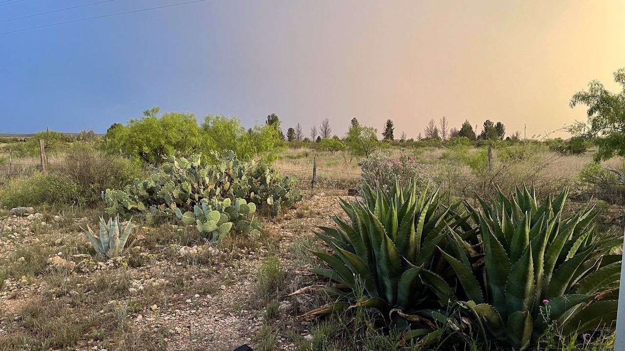 Photo of Outdoor in Marathon