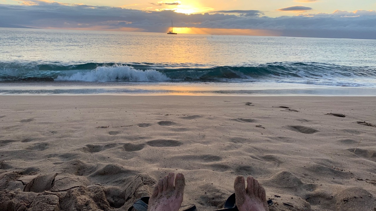 Photo of Others in Elk