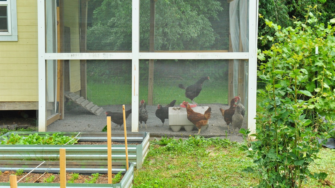 Photo of Others in Sharon