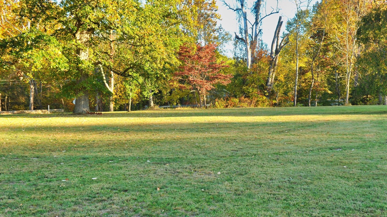 Photo of Others in Sharon