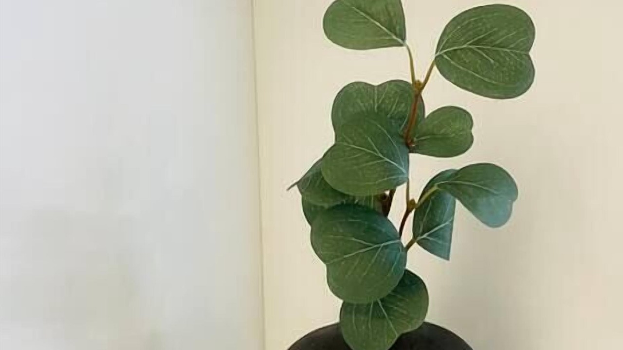 Photo of Others in Queenhithe