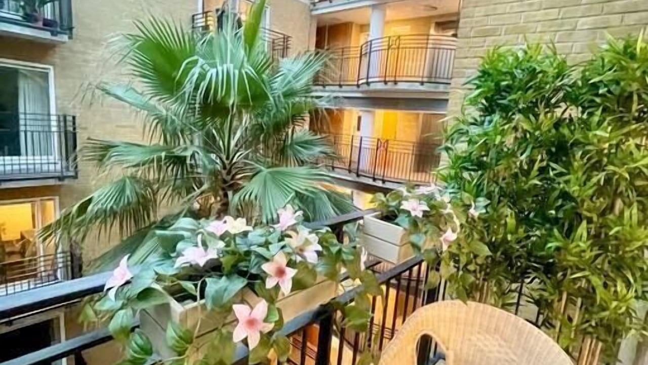 Photo of Others in Queenhithe