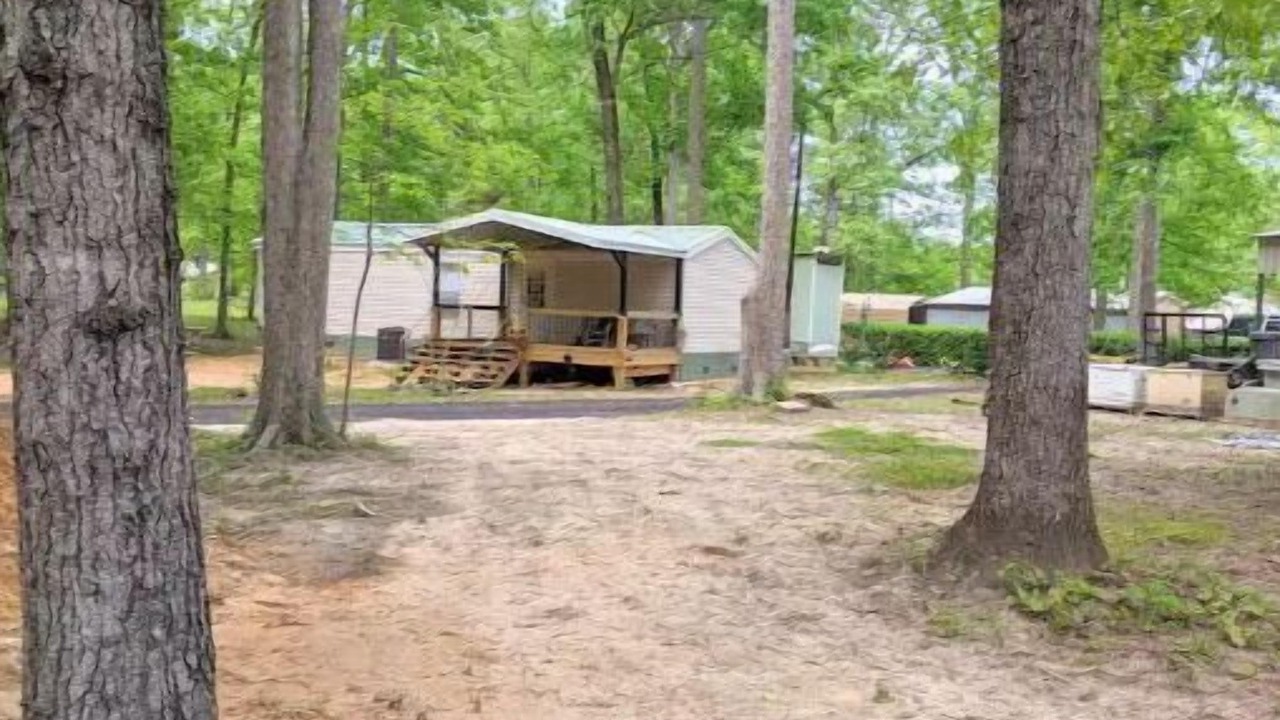 Photo of Outdoor in Hemphill