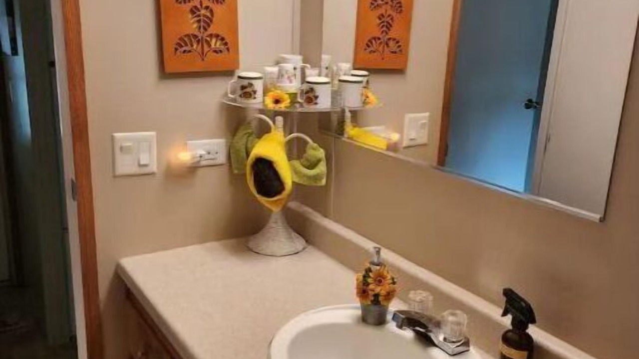 Photo of Bathroom in Hemphill