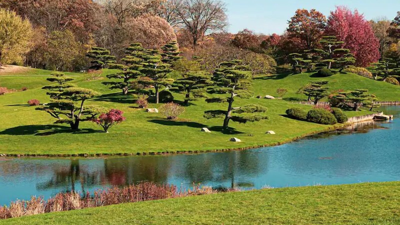 Photo of Outdoor in O'Hare