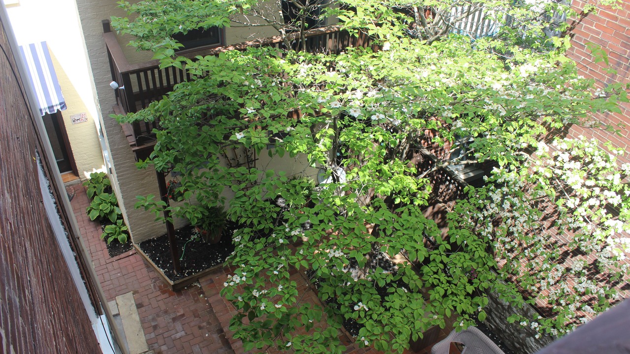 Photo of Outdoor in Lafayette Square