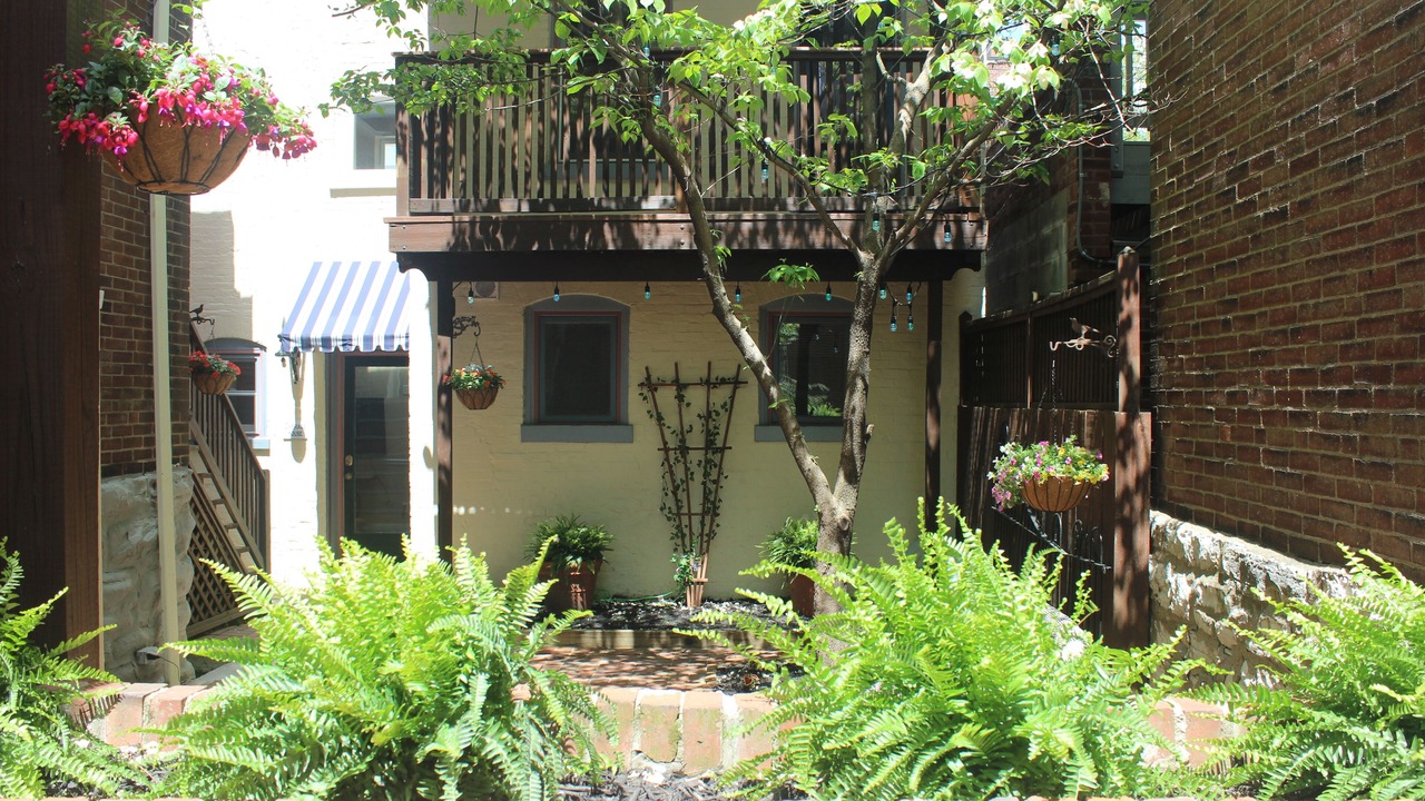 Photo of Outdoor in Lafayette Square