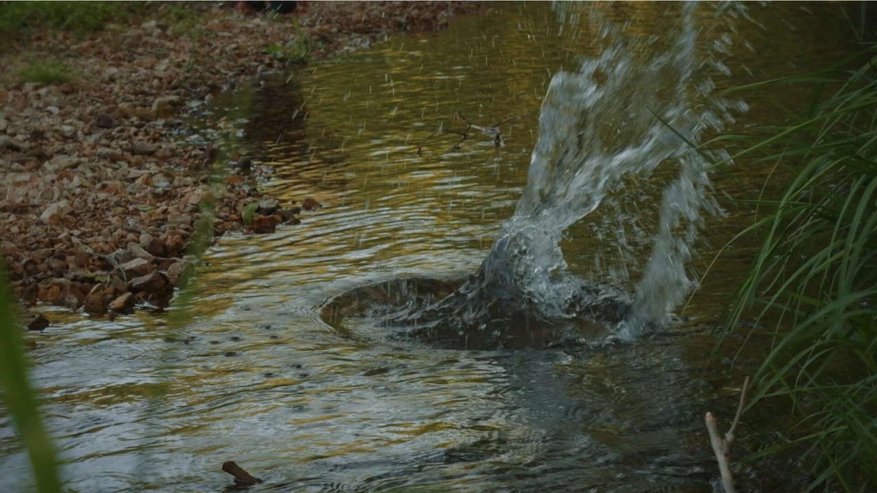 Photo of Others in Harrison