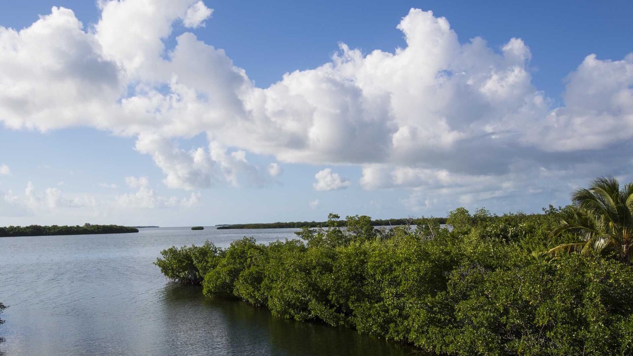 Photo of Outdoor in Port Pine Heights