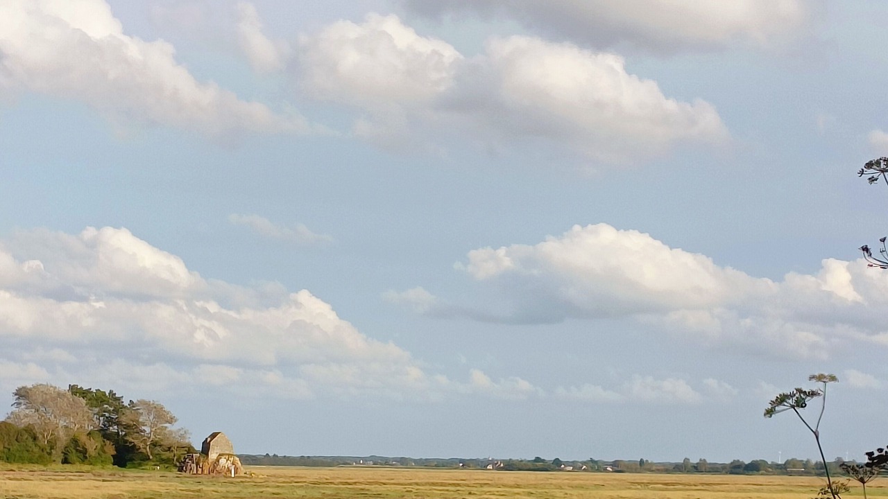 Photo of Others in Saint-Germain-sur-Ay