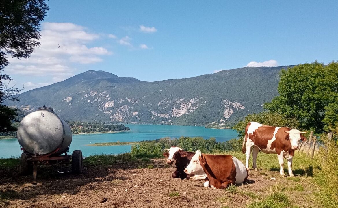 Photo of Others in La Bauche