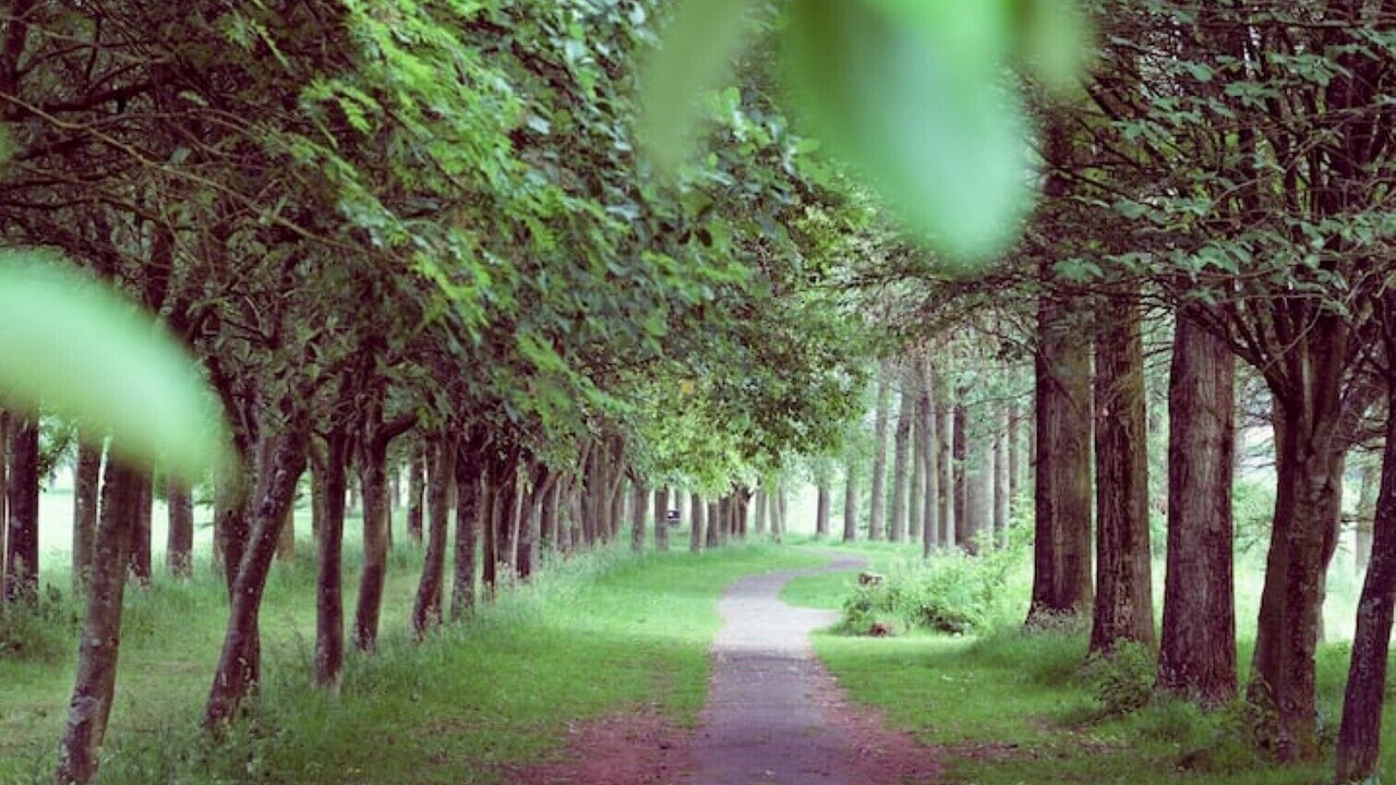 Photo of Others in Annan