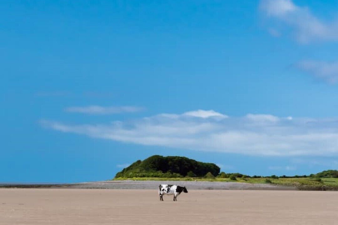 Photo of Others in Annan