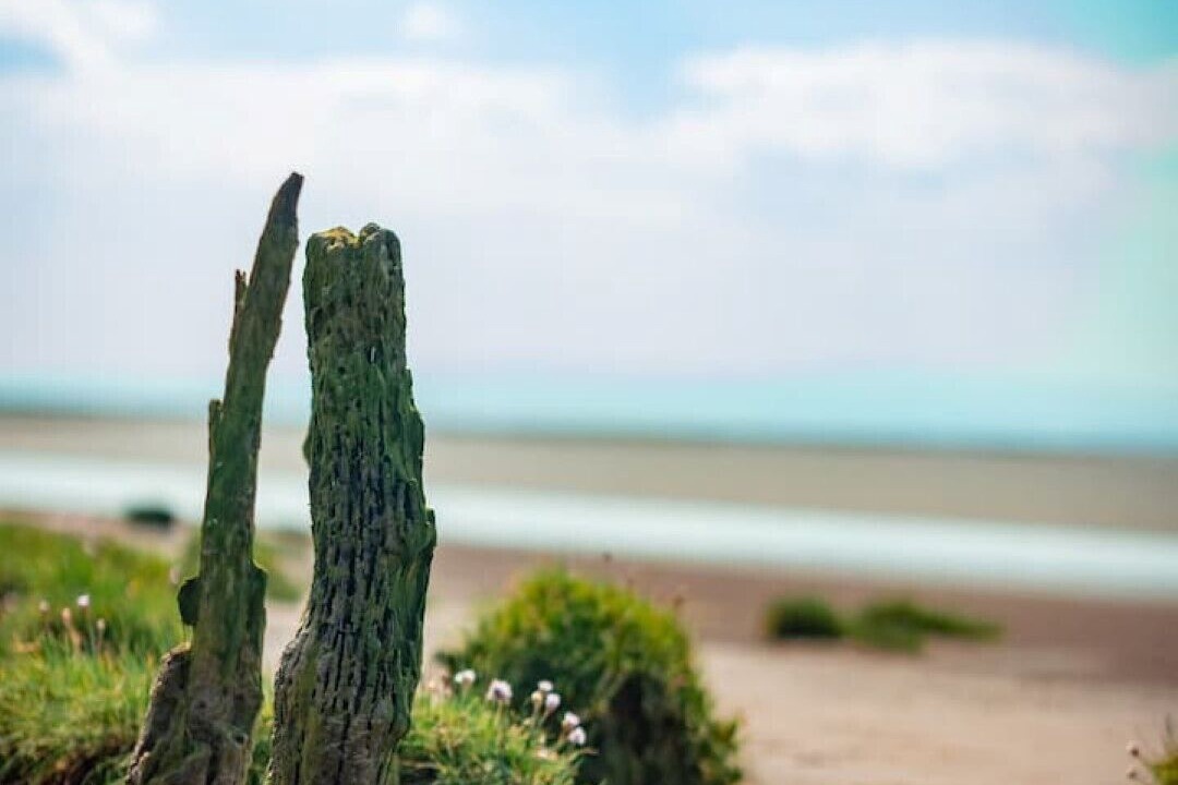 Photo of Others in Annan