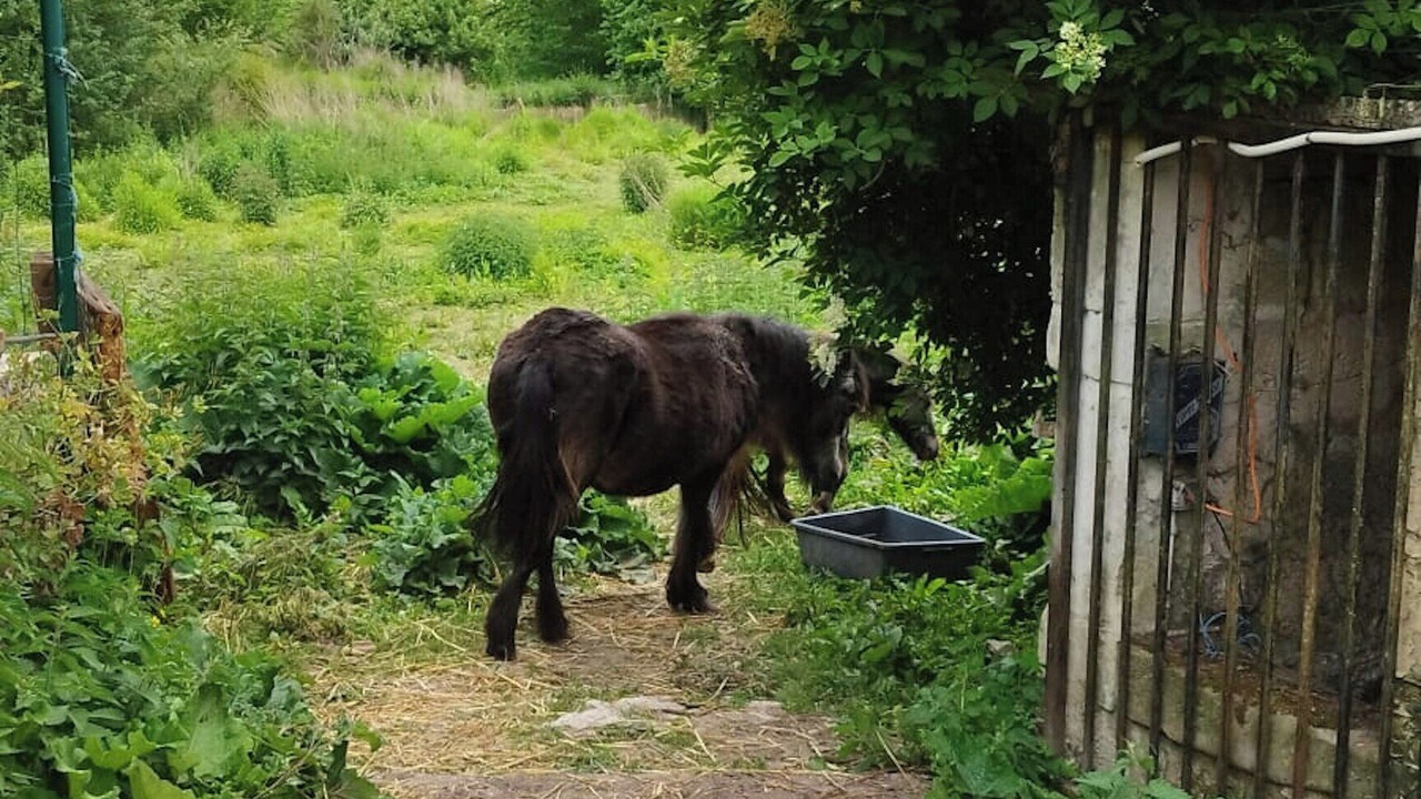 Photo of Others in Vassens