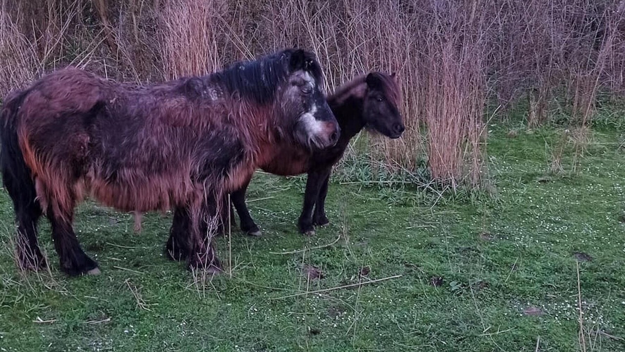 Photo of Others in Vassens