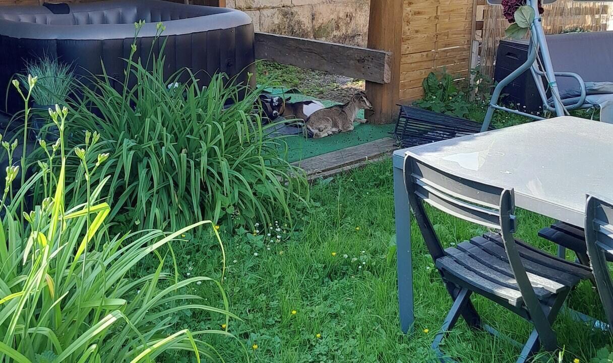 Photo of Others in Vassens