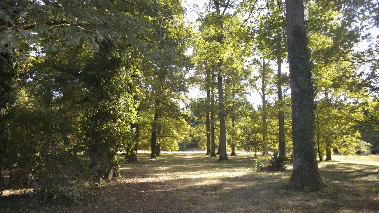 Photo of Outdoor in Saint-Jean-le-Blanc