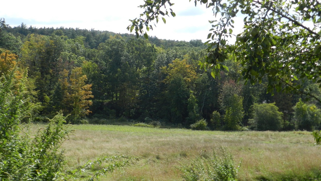 Photo of Outdoor in Chatham