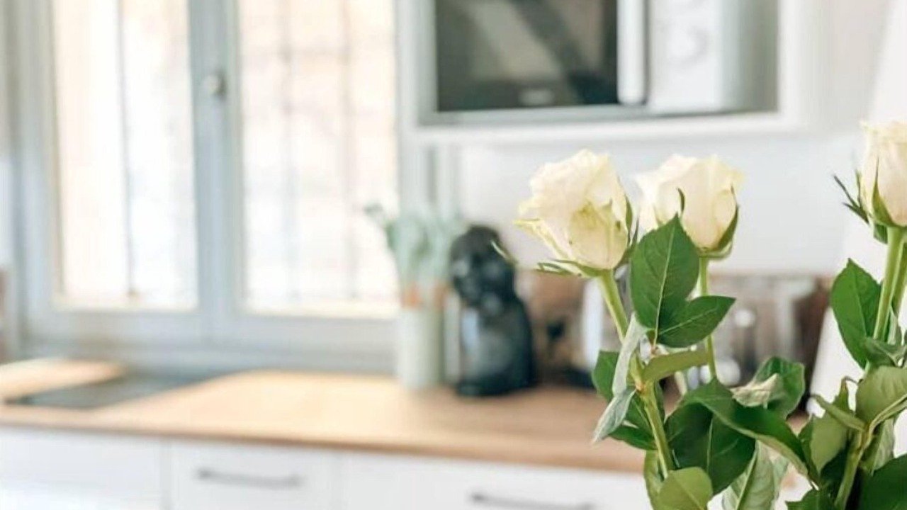Photo of Kitchen in Saint-Michel-l'Observatoire