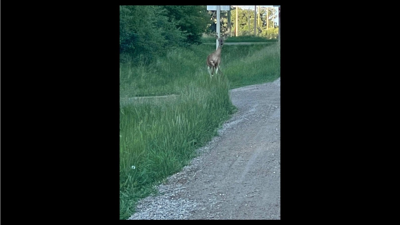 Photo of Others in Oak Lake