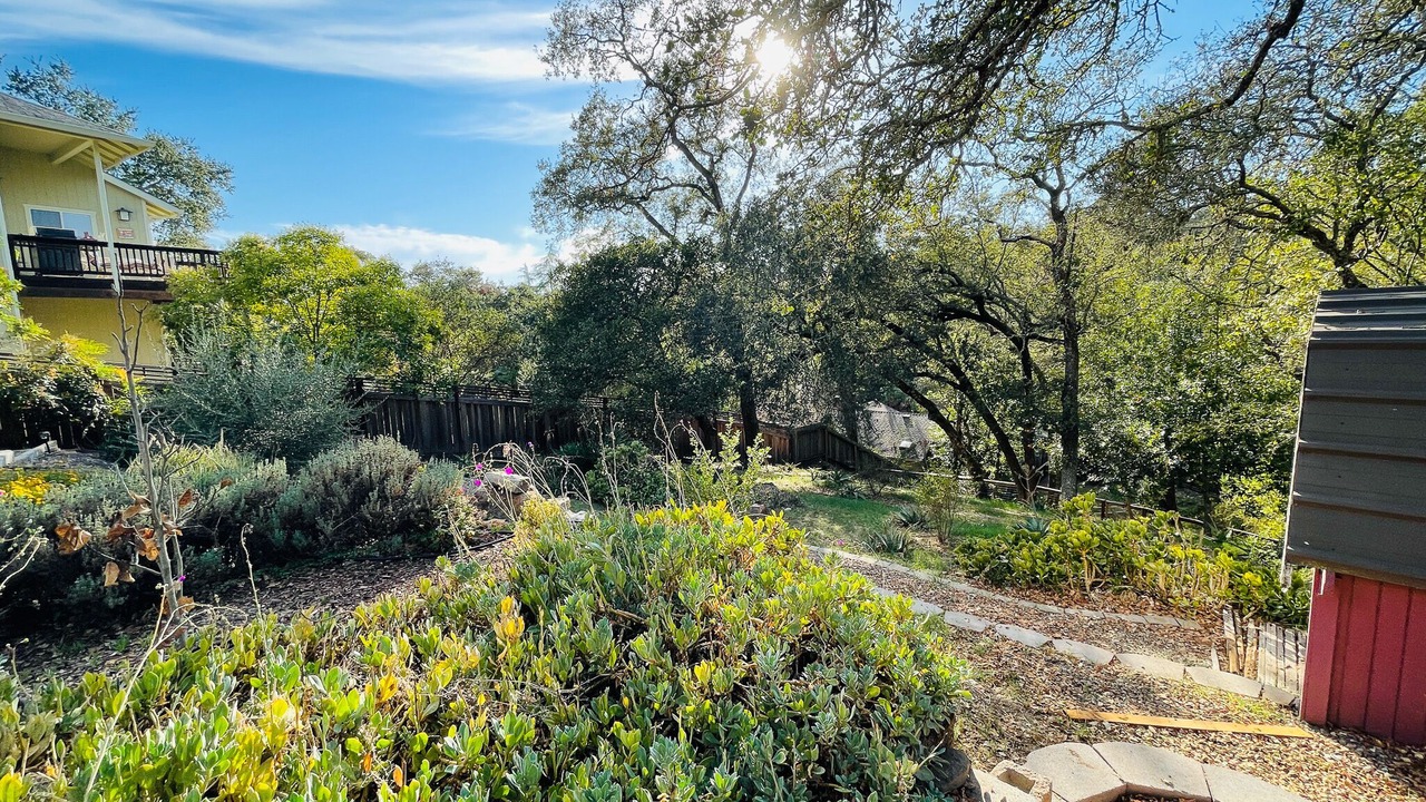 Photo of Outdoor in Fetters Hot Springs-Agua Caliente