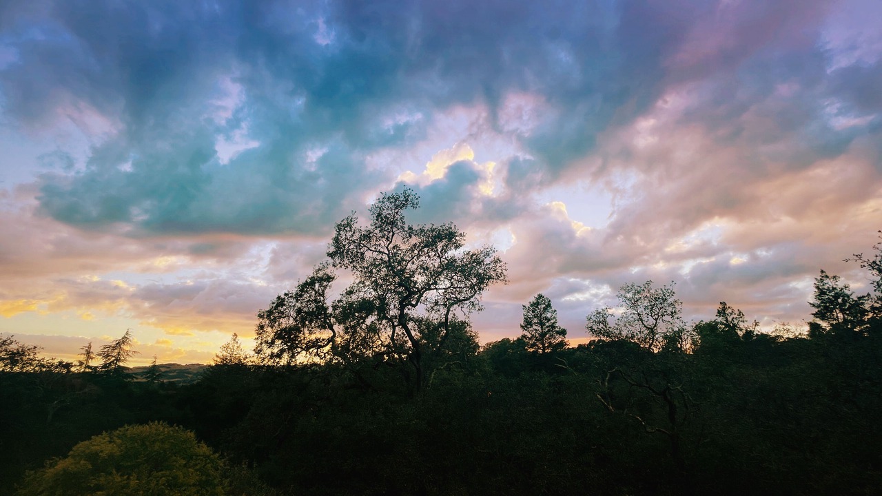 Photo of Outdoor in Fetters Hot Springs-Agua Caliente