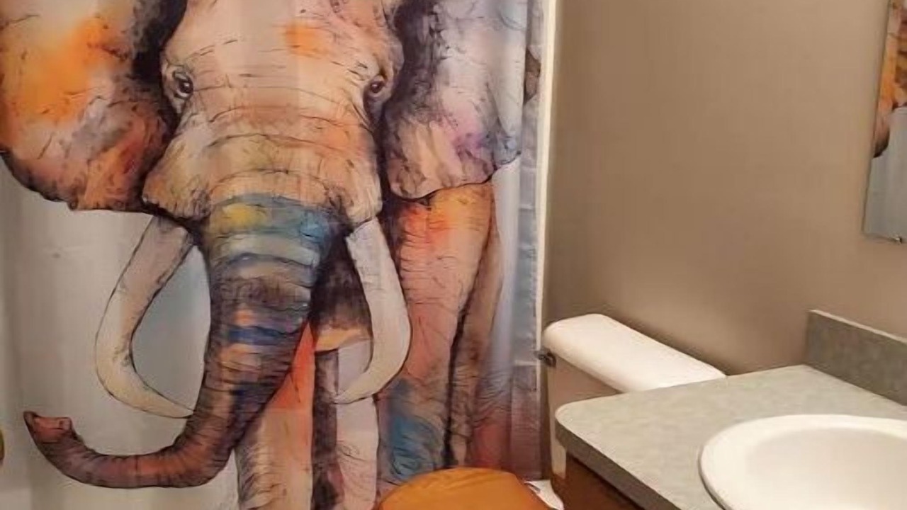 Photo of Bathroom in Homerville