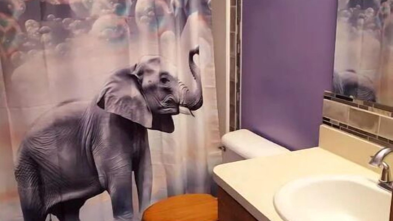 Photo of Bathroom in Homerville