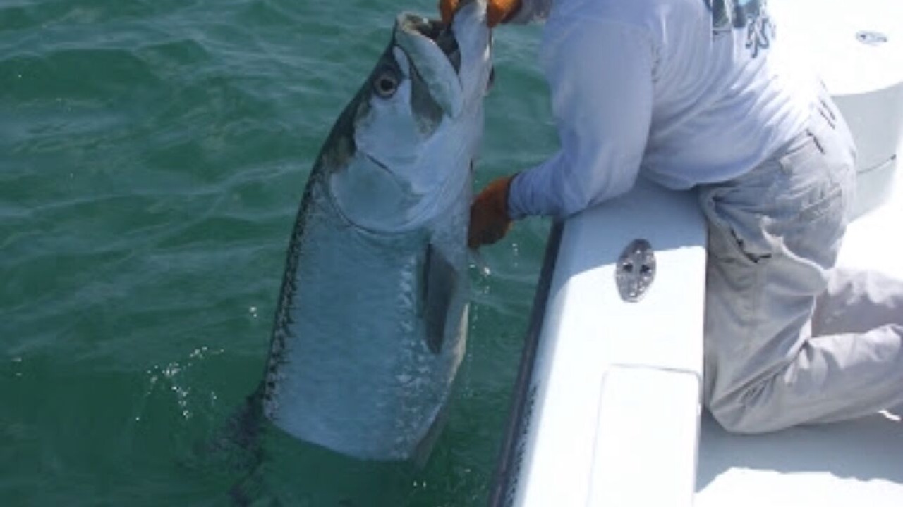 Photo of Others in Venice Gardens