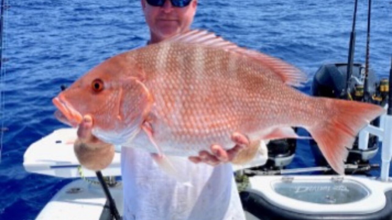 Photo of Others in Venice Gardens