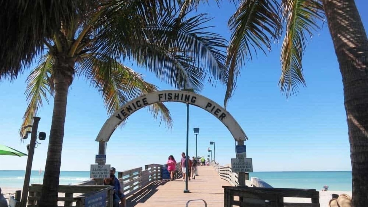 Photo of Others in Venice Gardens