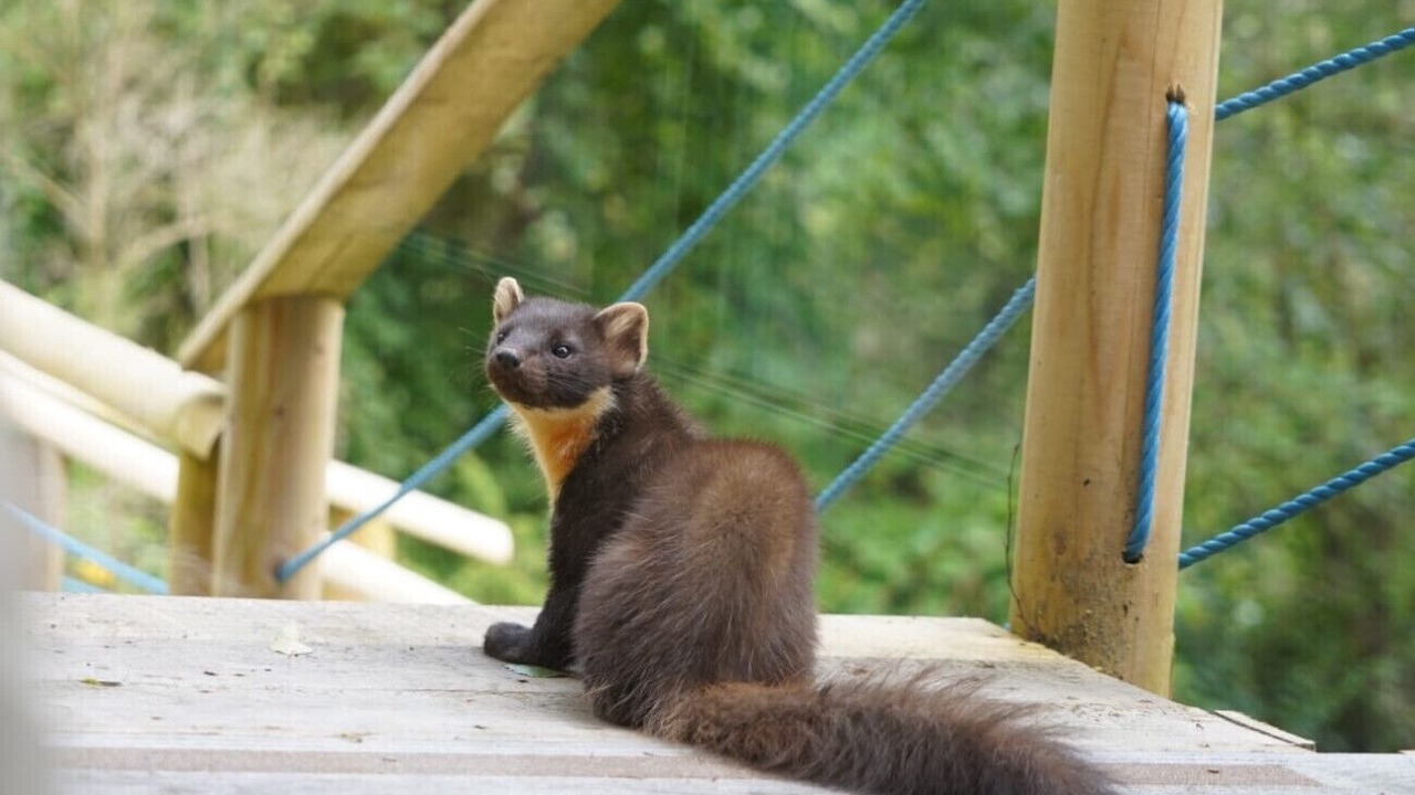 Photo of Others in Glen Urquhart