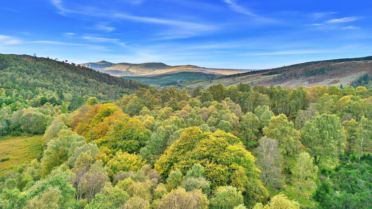 Photo of Others in Glen Urquhart