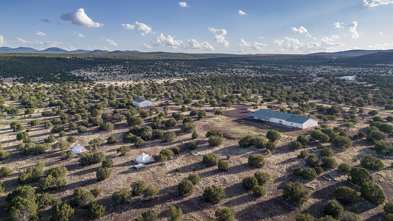 Photo of Outdoor in Concho