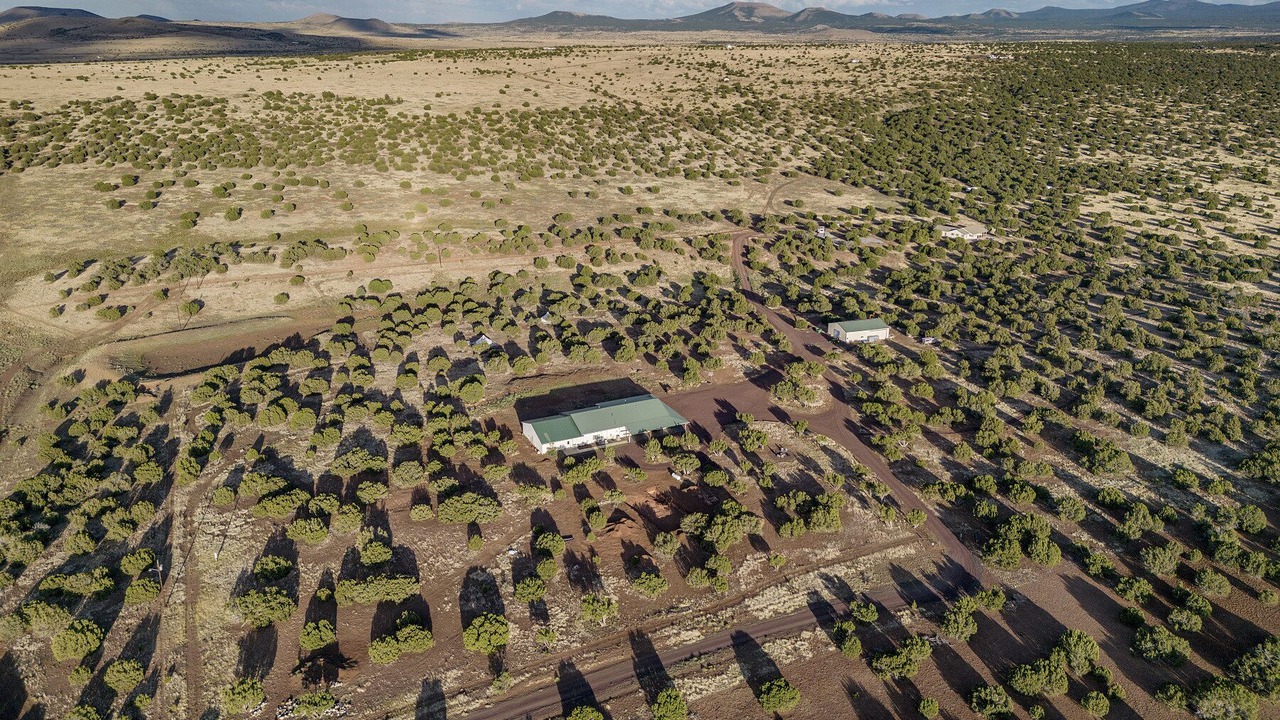 Photo of Outdoor in Concho