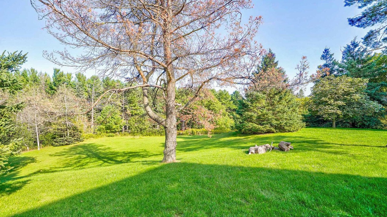 Photo of Outdoor in King