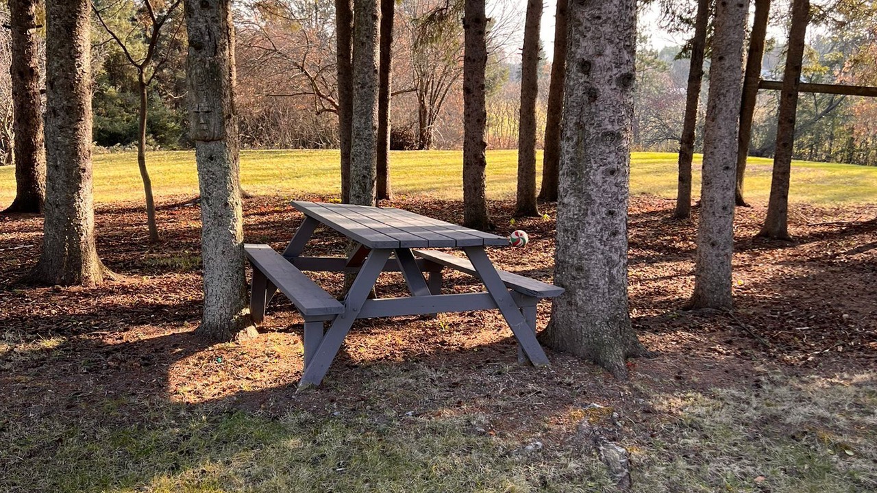 Photo of Outdoor in King