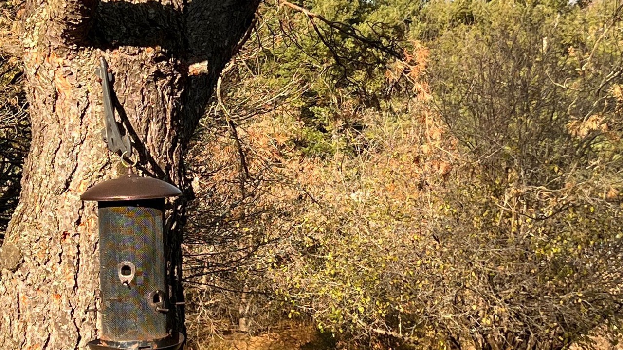 Photo of Outdoor in King