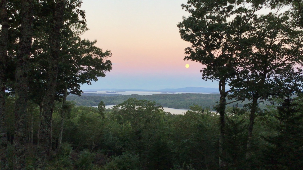 Photo of Outdoor in Sedgwick