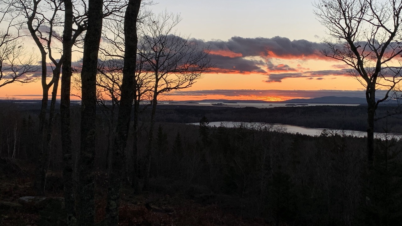 Photo of Others in Sedgwick