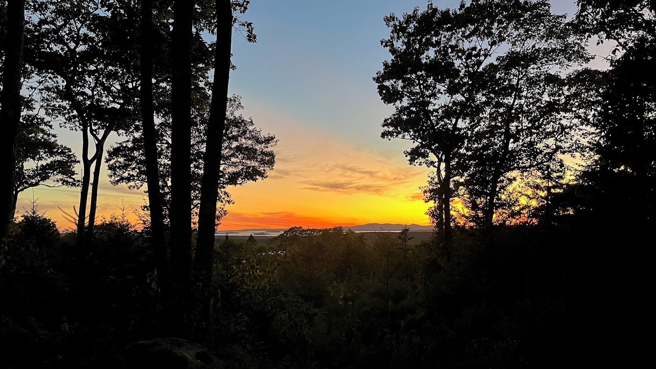 Photo of Others in Sedgwick