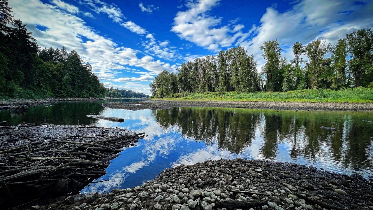 Photo of Others in Bolton